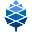 pine64